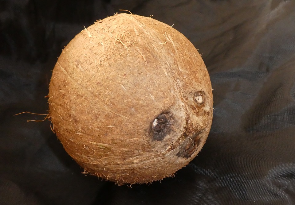 Cocco, divino cocco, ma cosa si nasconde dietro la sua raccolta