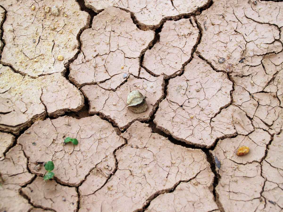 La Terra ha troppo caldo: come proteggerla e difenderla&nbsp;ancora