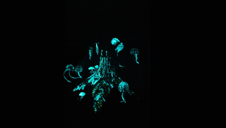 The Rooom: la nuova concept agency di Bologna dedicata alla cultura&nbsp;ambientale